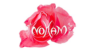 noham-logo-enea.png